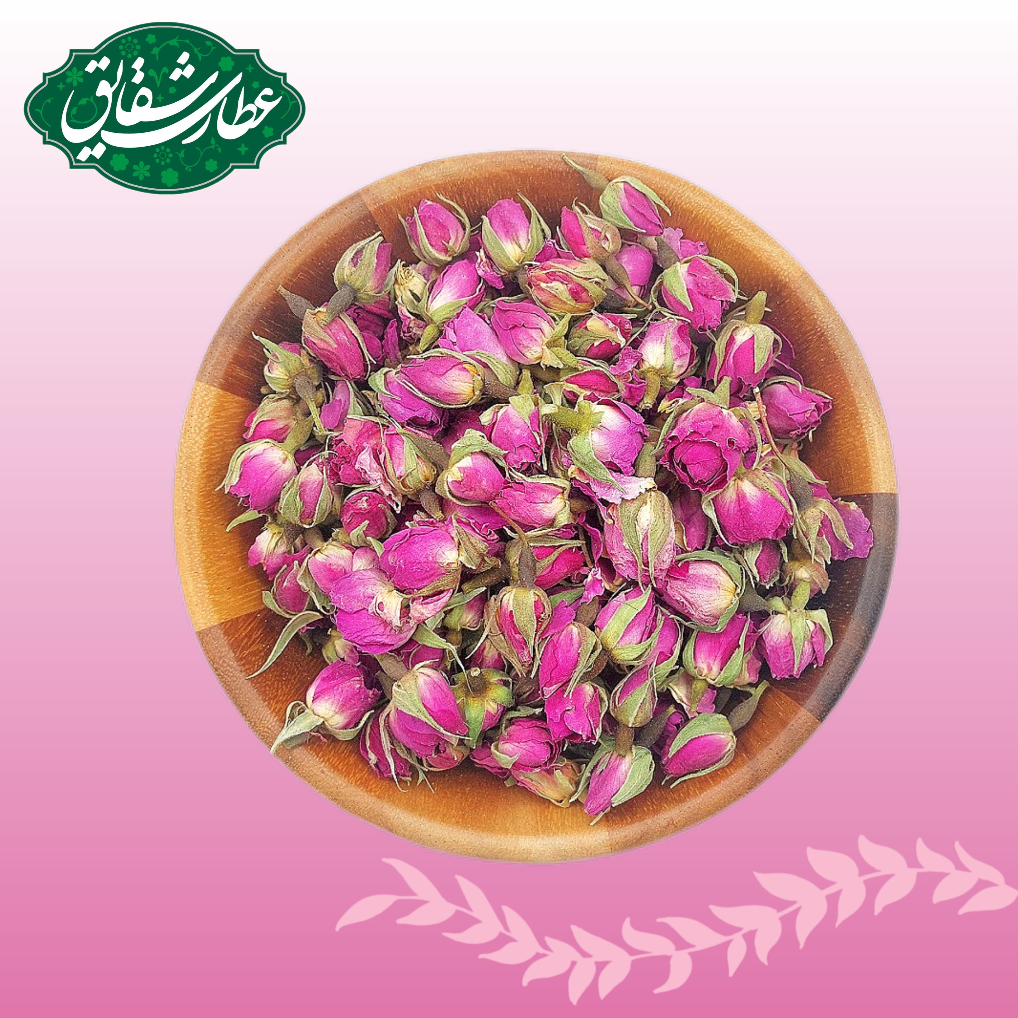 غنچه گل محمدی تازه