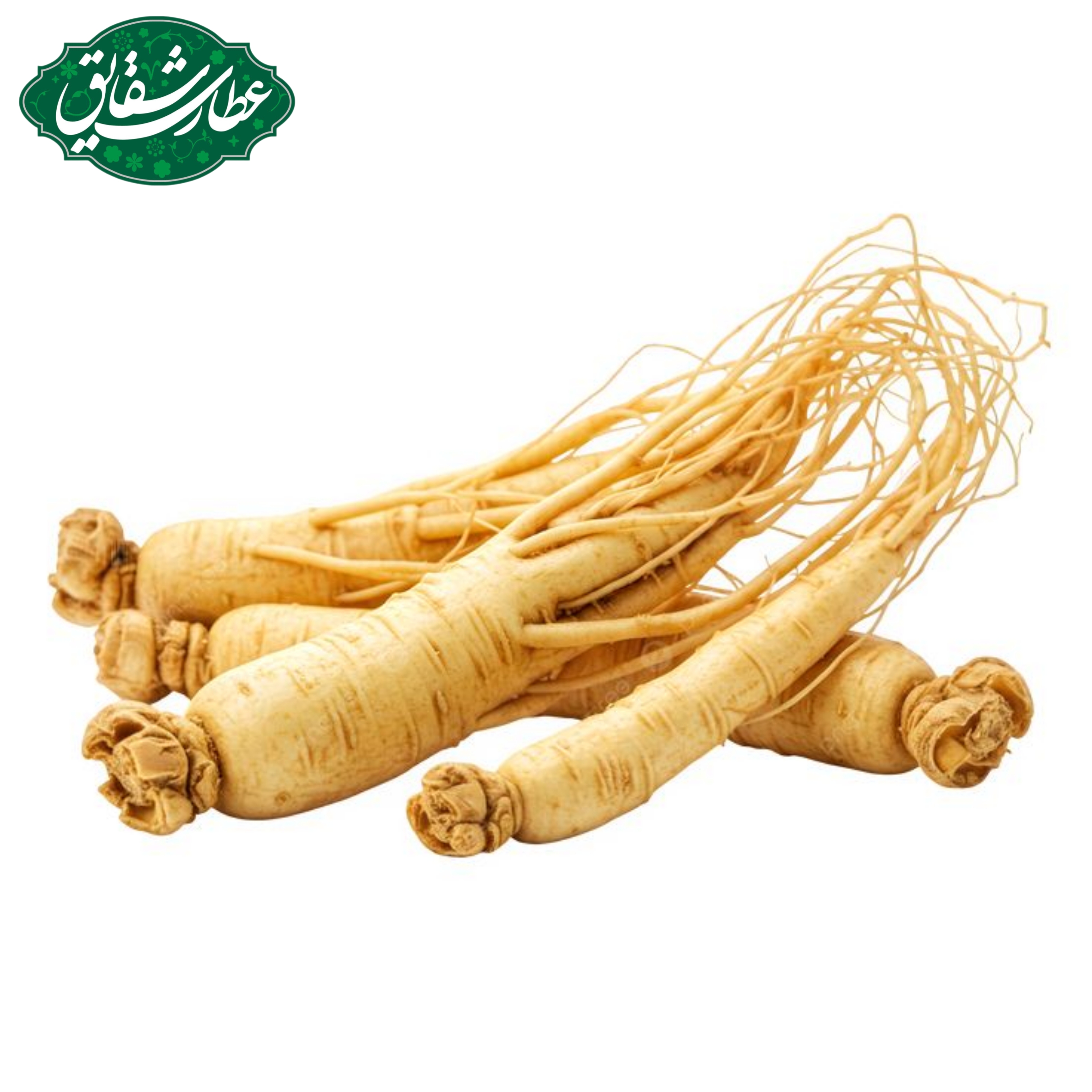 ریشه جنسینگ قرمز ۱۰گرمی