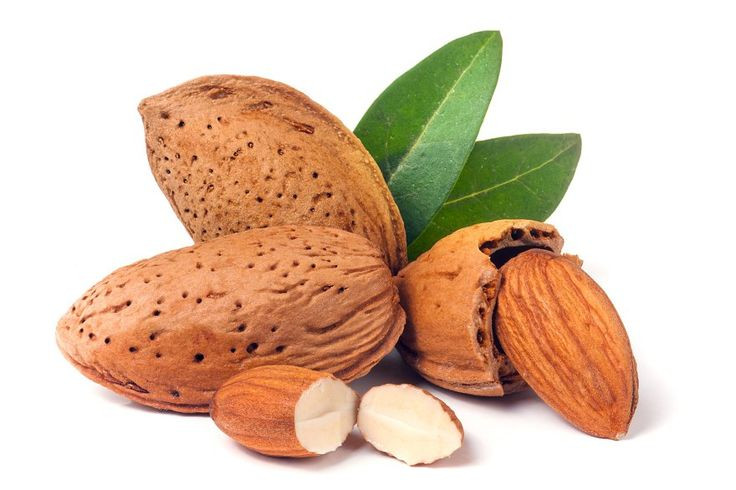 بادام درختی ۱ کیلویی