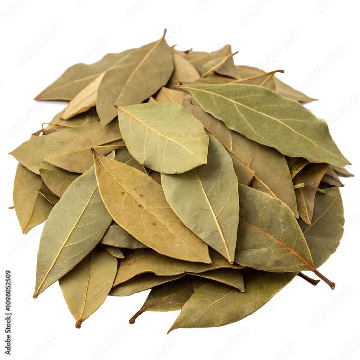 برگ بو (۱۰۰ گرمی )