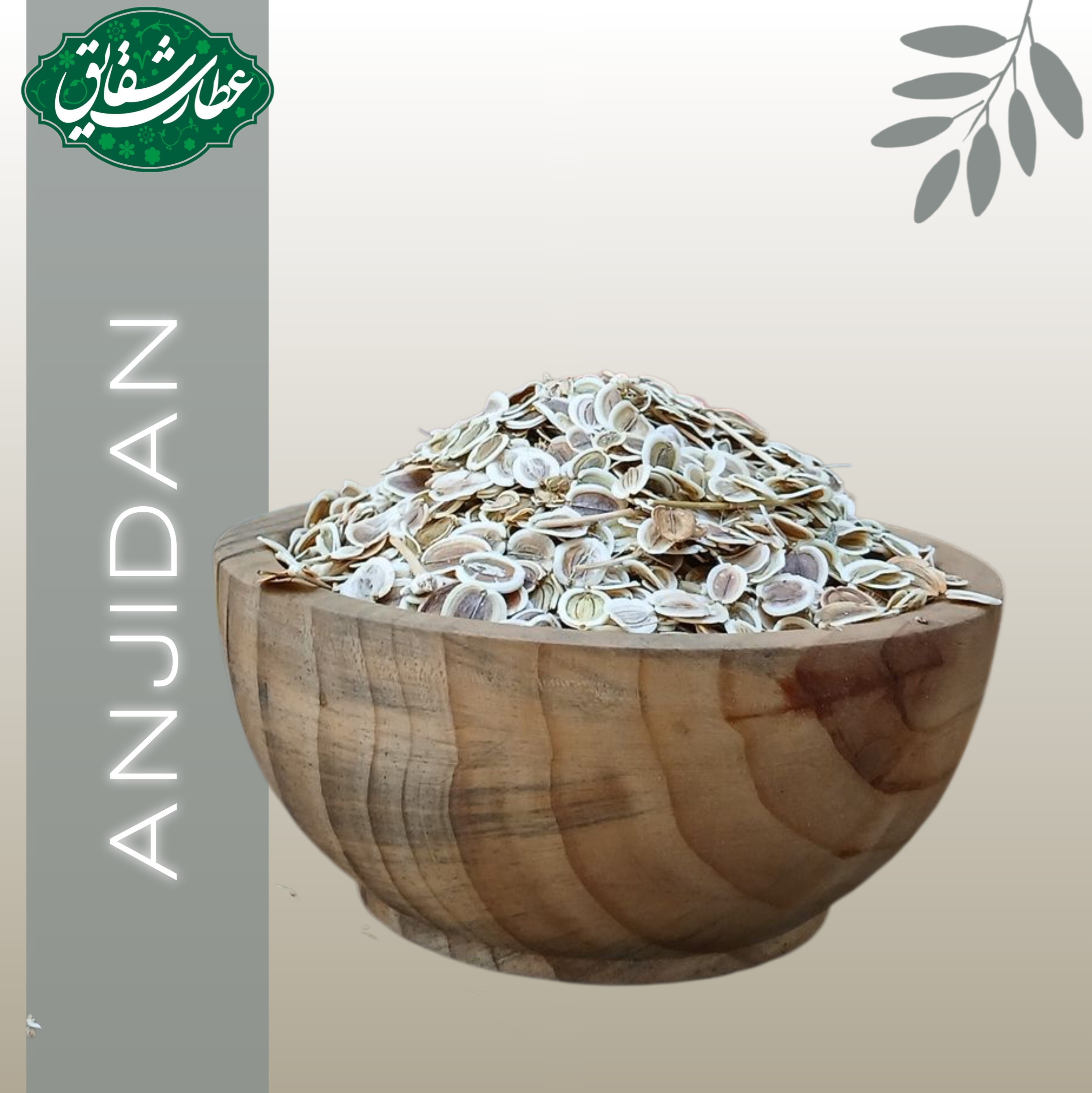 انجیدان رومی ۳۰۰ گرمی