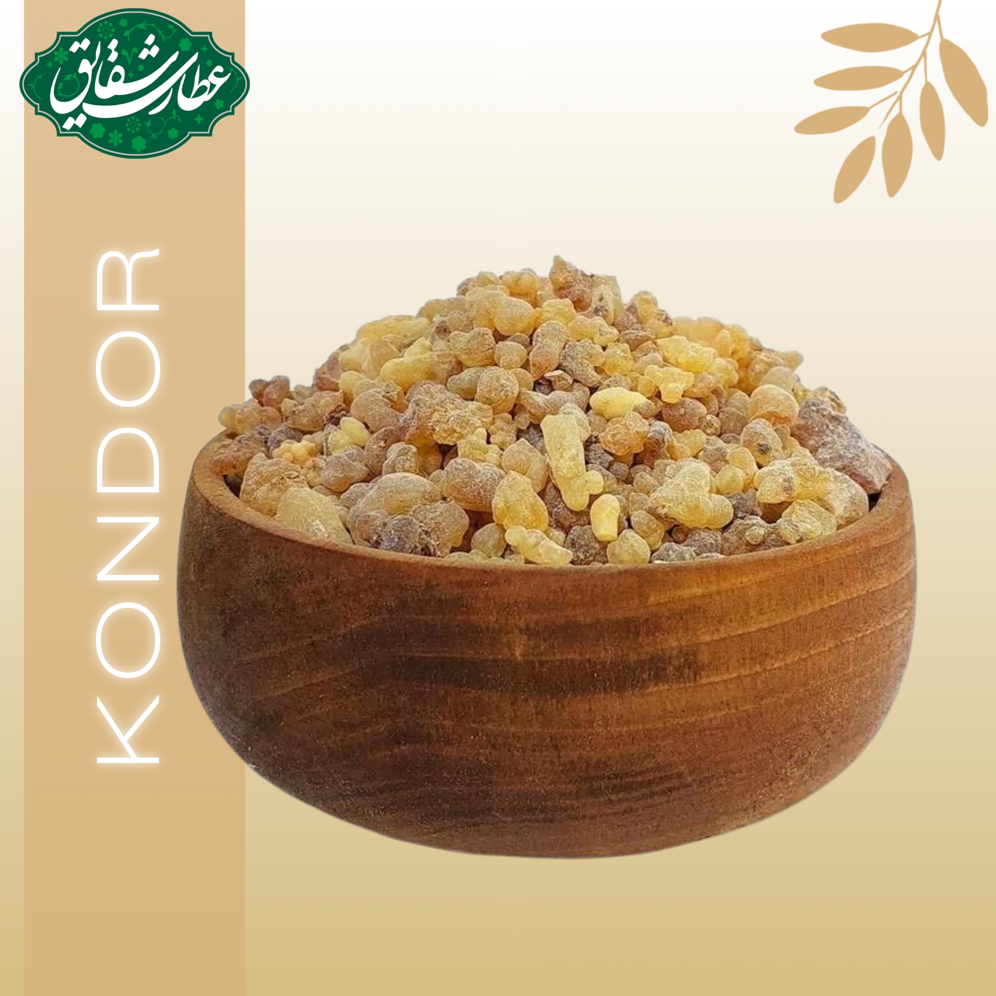 کندور ۱۰ گرمی